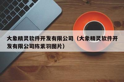大象精灵软件开发 厦门软件开发领域的创新与探索
